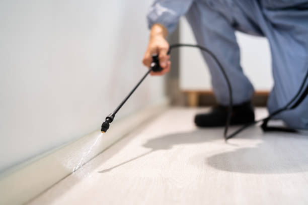 Licensed Bed Bug Control service in Hartshorne, OK - Nex Pest Control