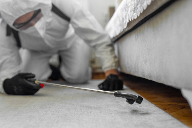 Professional Bed Bug Control technician working in Hartshorne, OK