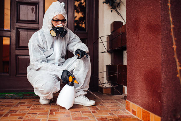 Reliable Bed Bug Control contractor in Hartshorne, OK by Nex Pest Control