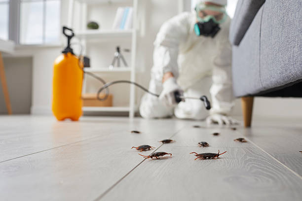 Trusted Cockroach Control service in Hartshorne, OK - Nex Pest Control
