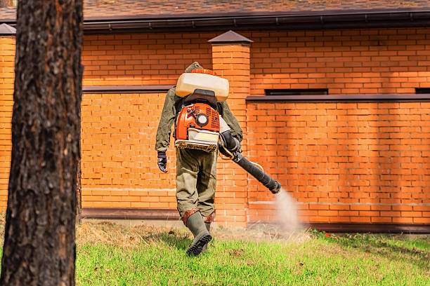 Trusted Bed Bug Control service in Hartshorne, OK - Nex Pest Control